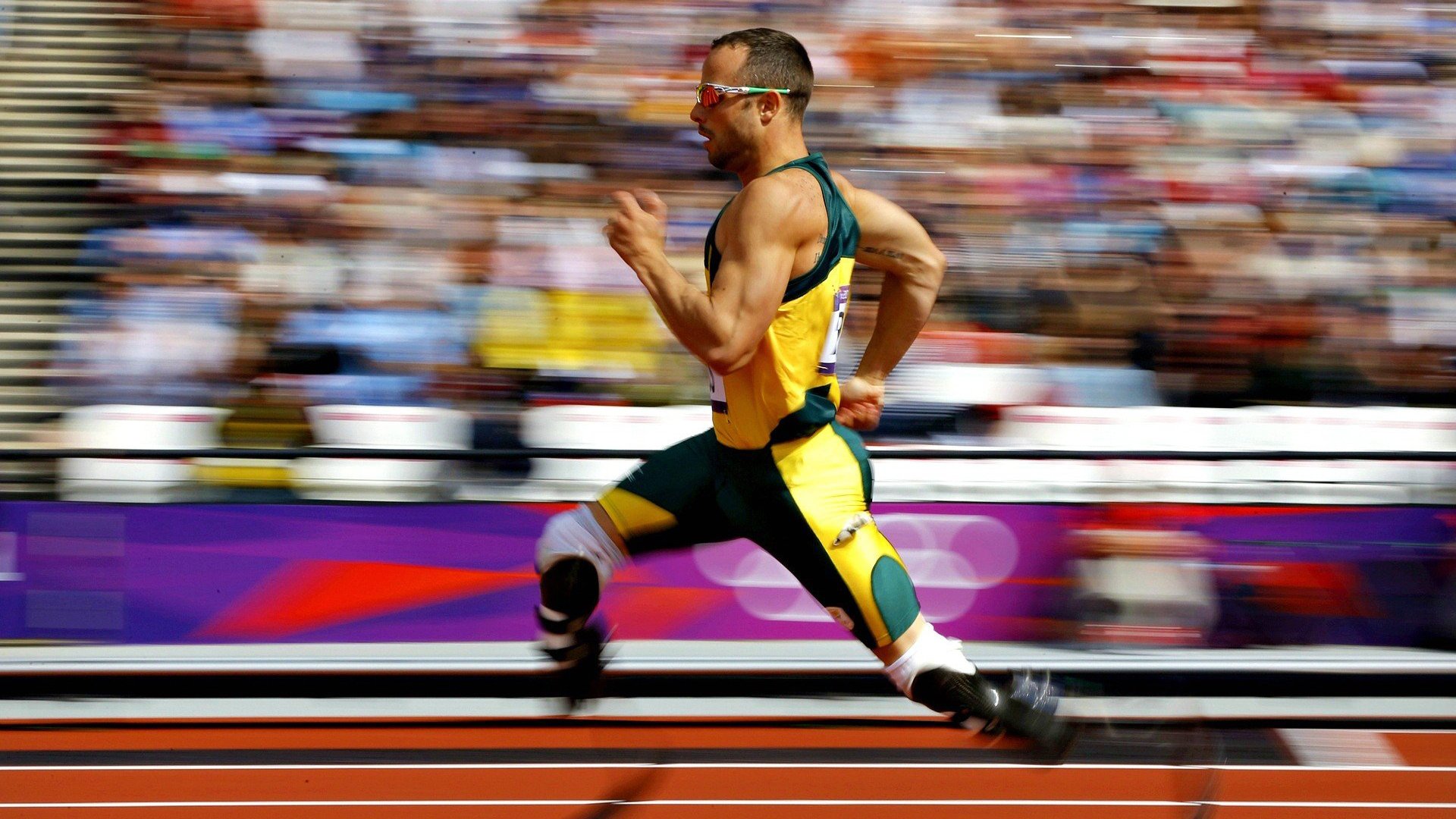 场馆升级：打造国际一流比赛环境，竞赛场馆运行分区有哪些